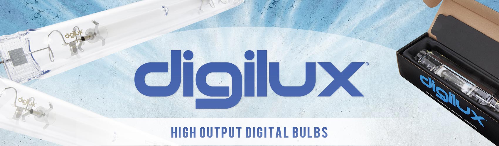 Digilux