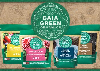 Gaia Green Brand