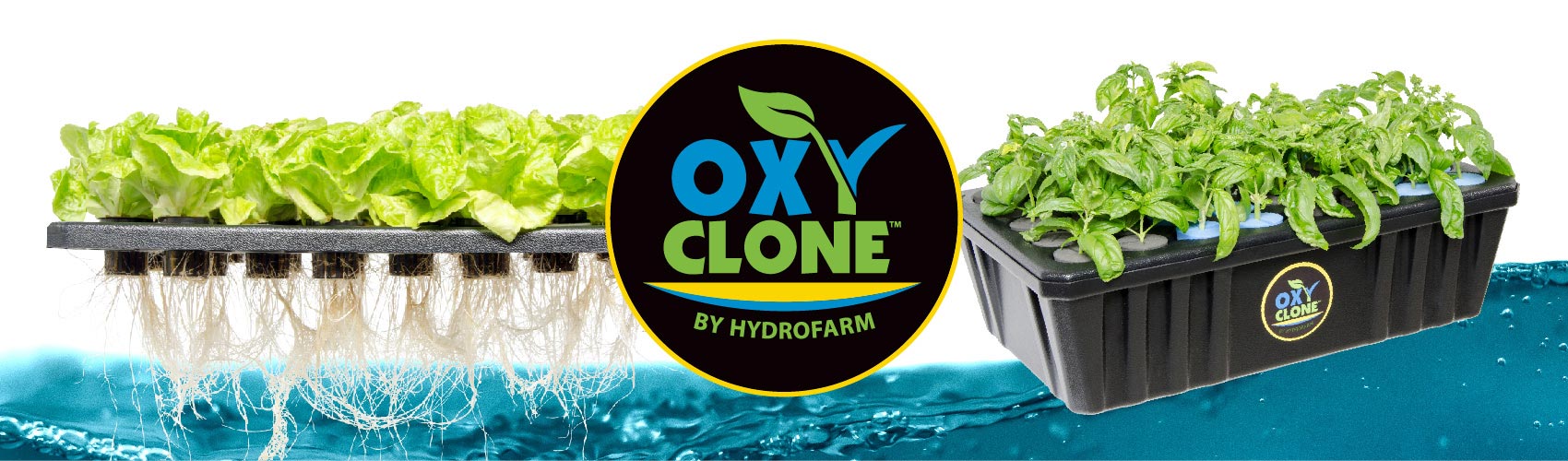 OxyCLONE