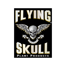 Link to Flying Skull