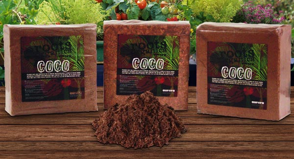 Coco Bricks
